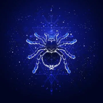 Vector illustration with hand drawn spider tarantula and Sacred geometric symbol Stock Illustration