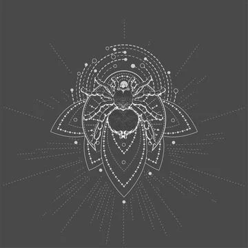 Vector illustration with hand drawn Spider Tarantula and Sacred symbol LOTUS. Stock Illustration