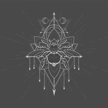 Vector illustration with hand drawn Spider Tarantula  Stock Illustration
