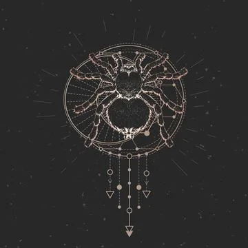Vector illustration with hand drawn spider and Sacred geometric symbol on black  Stock Illustration