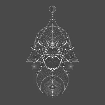 Vector illustration with hand drawn spider tarantula and Sacred geometric symbol Stock Illustration