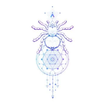 Vector illustration with hand drawn spider and Sacred geometric symbol on white  Stock Illustration