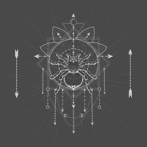 Vector illustration with hand drawn Spider Tarantula and Sacred symbol LOTUS  Stock Illustration