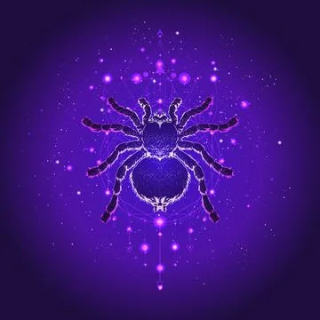 Vector illustration with hand drawn spider tarantula and Sacred geometric symbol Stock Illustration