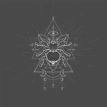 Vector illustration with hand drawn Spider Tarantula and Sacred symbol LOTUS. Stock Illustration