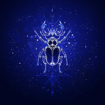 Vector illustration with hand drawn stag beetle and Sacred geometric symbol Stock Illustration