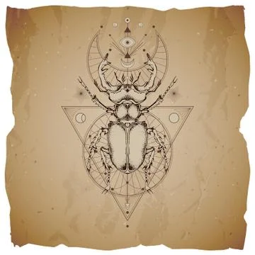 Vector illustration with hand drawn stag beetle Stock Illustration