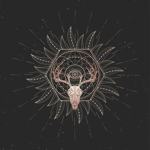 Vector illustration with hand drawn Stag skull and Sacred geometric symbol on Stock Illustration