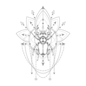 Vector illustration with hand drawn stag beetle and Sacred geometric symbol on w Stock Illustration