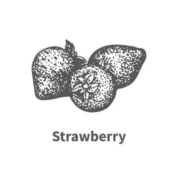 Vector illustration hand-drawn strawberry Stock Illustration