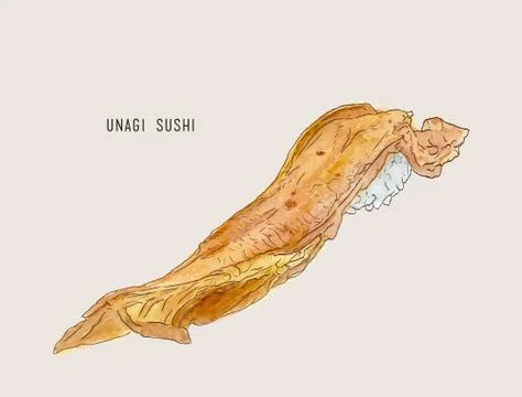 Vector illustration of hand drawn sushi with smoked eel. hand drawn water col Stock Illustration