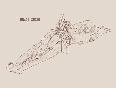 Vector illustration of hand drawn sushi with smoked eel. Stock Illustration