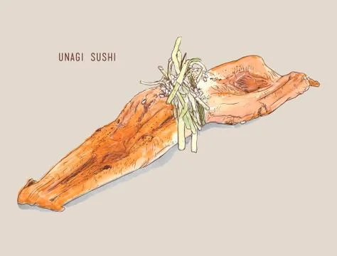 Vector illustration of hand drawn sushi with smoked eel. Stock Illustration