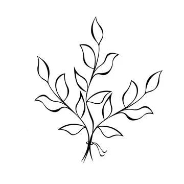 Vector illustration of hand-drawn twigs with leaves Stock Illustration