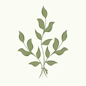 Vector illustration of hand-drawn twigs with leaves 库存插图