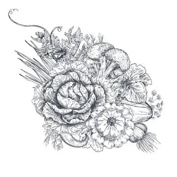 Vector illustration of hand drawn vector farm vegetables in sketch style. Stock Illustration