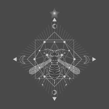 Vector illustration with hand drawn wasp and Sacred geometric symbol Stock Illustration