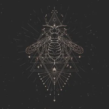 Vector illustration with hand drawn wasp and Sacred geometric symbol  Stock Illustration