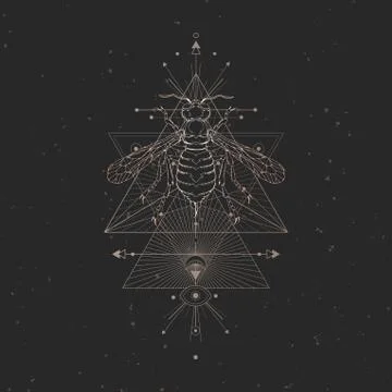 Vector illustration with hand drawn wasp and Sacred geometric symbol Stock Illustration
