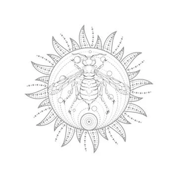 Vector illustration with hand drawn wasp and Sacred symbol Stock Illustration