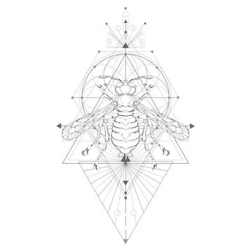 Vector illustration with hand drawn wasp and Sacred geometric symbol on white Stock Illustration