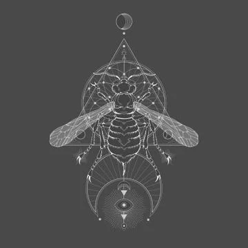 Vector illustration with hand drawn wasp Stock Illustration