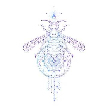 Vector illustration with hand drawn wasp and Sacred geometric symbol Stock Illustration
