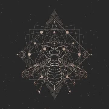 Vector illustration with hand drawn wasp and Sacred geometric symbol  Stock Illustration