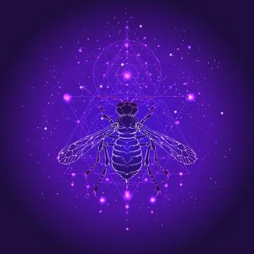 Vector illustration with hand drawn wasp and Sacred geometric symbol against the Stock Illustration