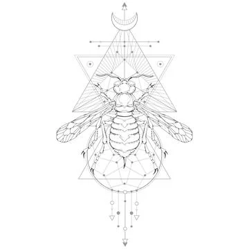 Vector illustration with hand drawn wasp and Sacred geometric symbol on white Stock Illustration