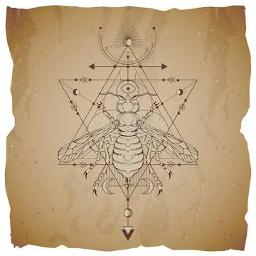 Vector illustration with hand drawn wasp and Sacred geometric symbol on vinta Stock Illustration