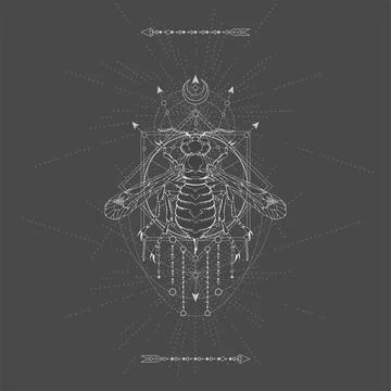 Vector illustration with hand drawn Wasp and Sacred geometric symbol on black ba Stock Illustration