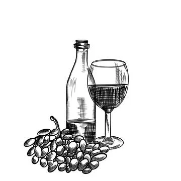 Vector illustration hand drawn wine bottle, glass and grapes, ink graphic style Illustrazione stock