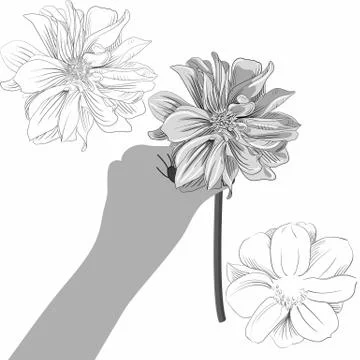 Vector illustration of a hand with a flower. Stock Illustration