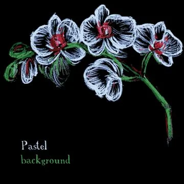 Vector illustration handmade drawing pastel chalks floral background. Stock Illustration