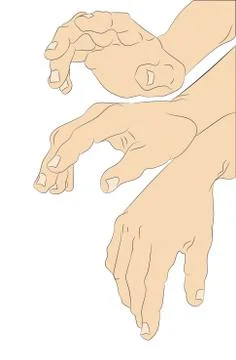 Vector illustration of hands, color drawing, vector Illustrazione stock