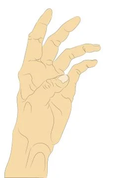 Vector illustration of hands, color drawing, vector Stock Illustration