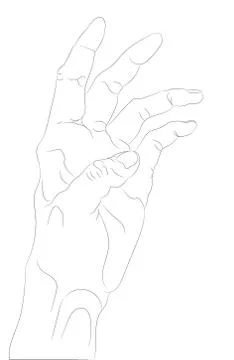 Vector illustration of hands, line drawing, vector Stock Illustration