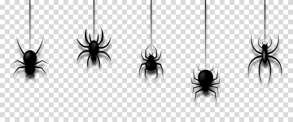 Vector illustration with hanging spiders Stock Illustration