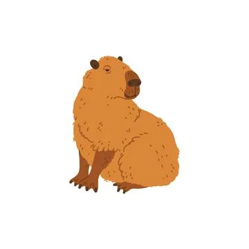 Vector illustration of a,happy capybara sitting calmly and looking back with a Stock Illustration