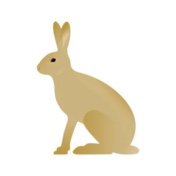 Vector illustration of a hare Stock Illustration