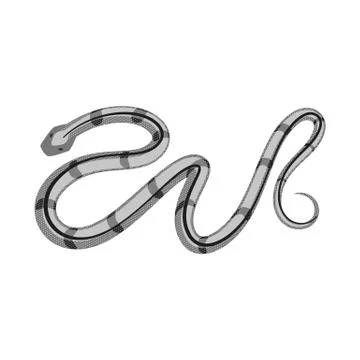 Vector illustration of harm and bite icon. Collection of harm and reptile stock Stock Illustration