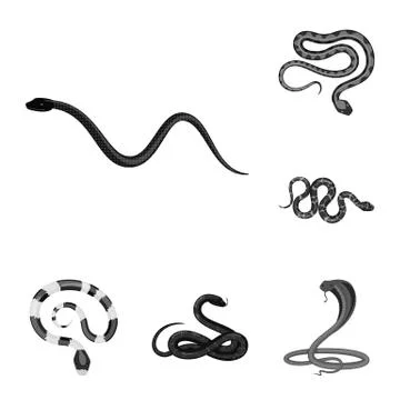 Vector illustration of harm and bite logo. Collection of harm and reptile stock Stock Illustration