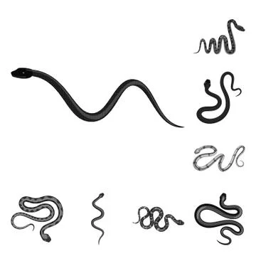 Vector illustration of harm and bite logo. Collection of harm and reptile vector Stockillustratie