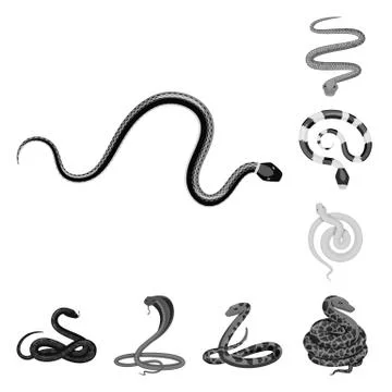 Vector illustration of harm and bite sign. Set of harm and reptile stock symbol Stock-Illustration