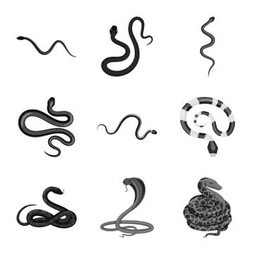 Vector illustration of harm and bite sign. Collection of harm and reptile vector Stock Illustration