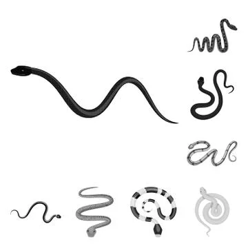 Vector illustration of harm and bite logo. Set of harm and reptile stock symbol Stock-Illustration