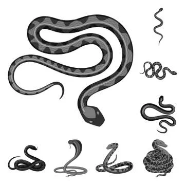 Vector illustration of harm and bite logo. Collection of harm and reptile stock Stock Illustration