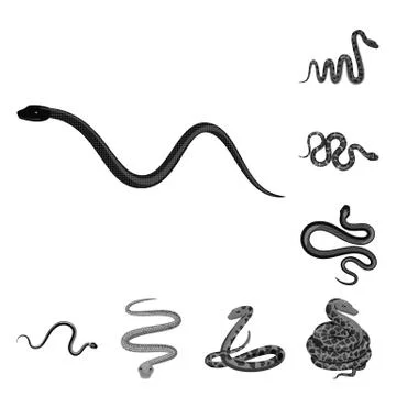 Vector illustration of harm and bite sign. Collection of harm and reptile stock Illustrazione stock