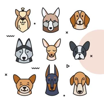 Vector illustration of a head of different breeds Stock Illustration